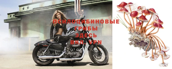 прущая мука Армянск