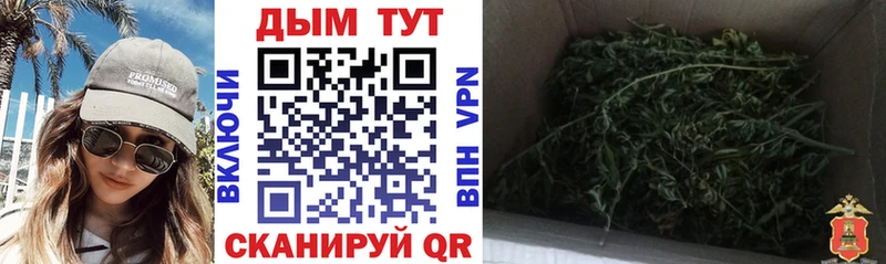 это состав  Цимлянск  Канабис марихуана  блэк спрут как войти 
